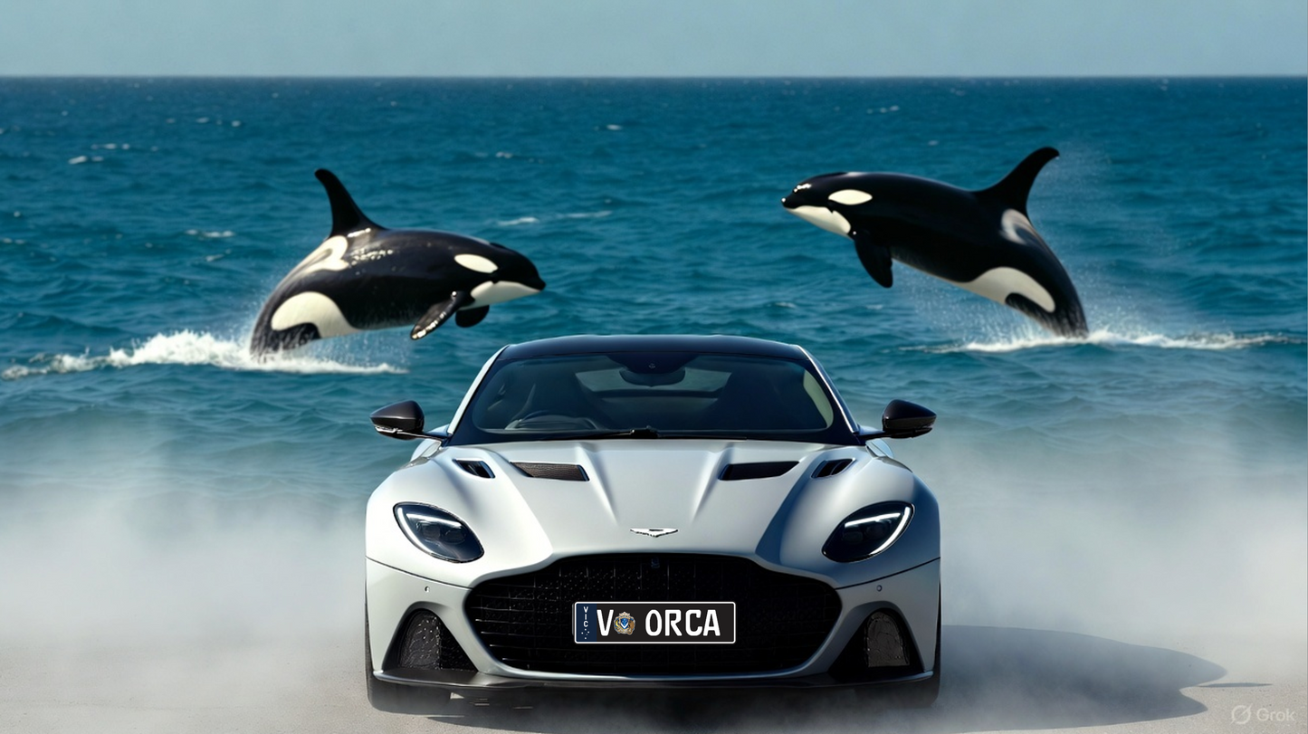 V-ORCA – The Apex of Elegance